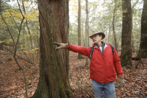 steve eisenhaur natural lands trust